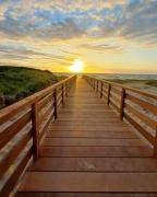 Top São Francisco do Sul