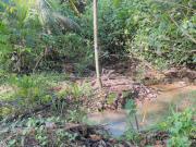 Riverside Nature Haven Villa