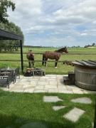 Top Kortgene Top Kortgene