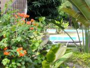Top Hua Hin