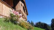 Top Reith bei Kitzbühel