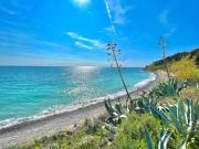 Top Costarainera Top Costarainera