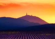 Top Sault-de-Vaucluse