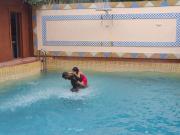 The Twin Cottages Coorg