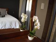 Nooitgedacht Town Lodge