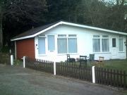 Four Legged Friends Warm and Cozy Cabin