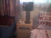 Four Legged Friends Warm and Cozy Cabin