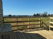 Top Pelluhue Top Pelluhue