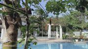 Top Panglao