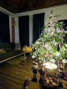 WoodStarტყის ვარსკვლავი