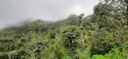 Top Madikeri
