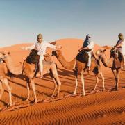 Oasis Mirage Luxury Camp