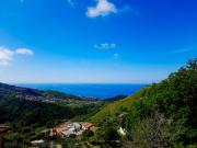 Top Diamante Top Diamante