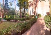 Top Marrakesz