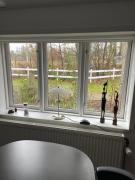 Peace & tranquility in untouched nature by the Sea