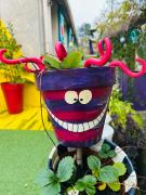 Top Saint-Germain-sur-Morin