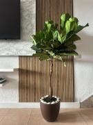 Casa Padrón! Paraíso junto al MAR