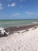 Top Progreso Top Progreso