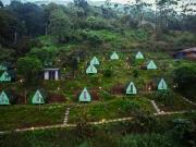 Snow Smile Camps Munnar