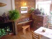 Top San Martín de los Andes