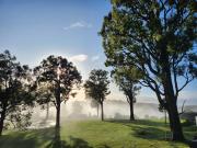 Scarlet Woods Big House