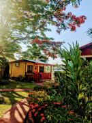 Top San Ignacio Top San Ignacio