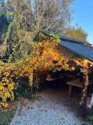 Top Sasino Top Sasino