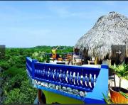 Hayleys Paradise Limited