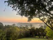 Green Buddha Green Buddha