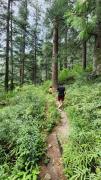 Top Kasol