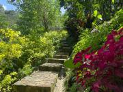 Top Cocorná Top Cocorná