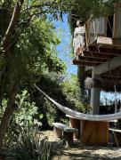 Top Puerto Escondido