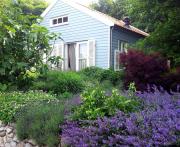 Loevesteijn - Ouddorp