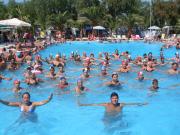 Top Ribera