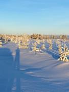 Wilderness Villa Lamu