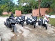 Beautiful Flower Resort