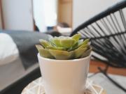 Top Hiroshima Top Hiroshima