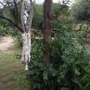 Top José de la Quintana