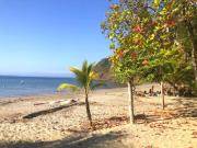 Top Punta Leona