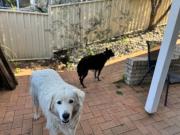 Top South West Rocks