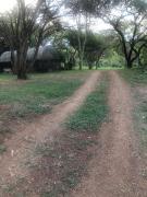 Top Barberton