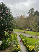 Top Santiago de Cartes