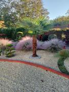 Top Saint-Médard-de-Guizières