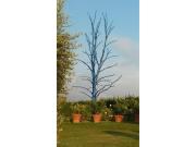 Top Marcialla Top Marcialla