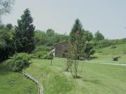 Top La Lama Top La Lama