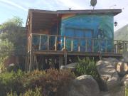 Top Totoralillo Top Totoralillo