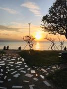 Top Haad Rin Top Haad Rin