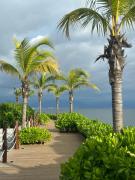 Riviera Nyarit Kovay Gardens 1 Bedroom 1 Bath Sleeps 4 Puerto Vallarta