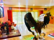 Top Playa del Carmen