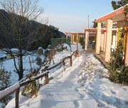 Top Nainital